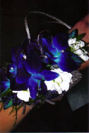 PromandWedding/FCBEWC9.jpg